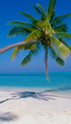 Summer Vacation online radio