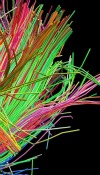 Alternative Now!: Best of 2012 online radio