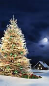 The Silent Night Channel online radio