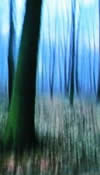 ECM online radio